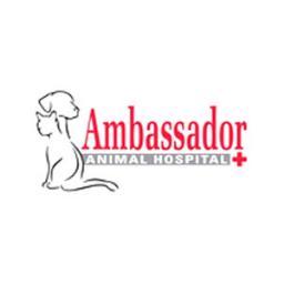 ambassador animal hospital greenville sc