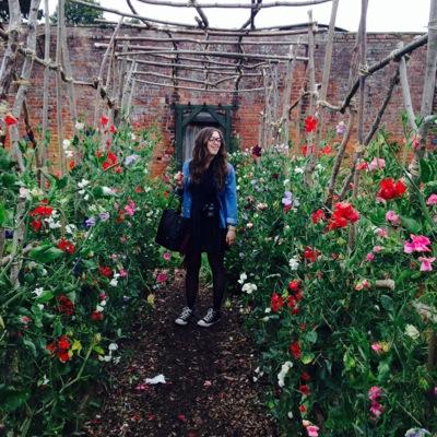 rarnold98's profile picture. 