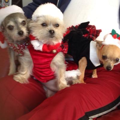 4_brownlee's profile picture. 