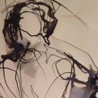 Anne Stout (@anne_stout) 's Twitter Profile
