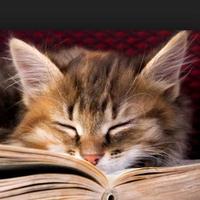 MyBookLists (@mybooklists) 's Twitter Profile Photo MyBookLists (@mybooklists) 's Twitter Profile Photo