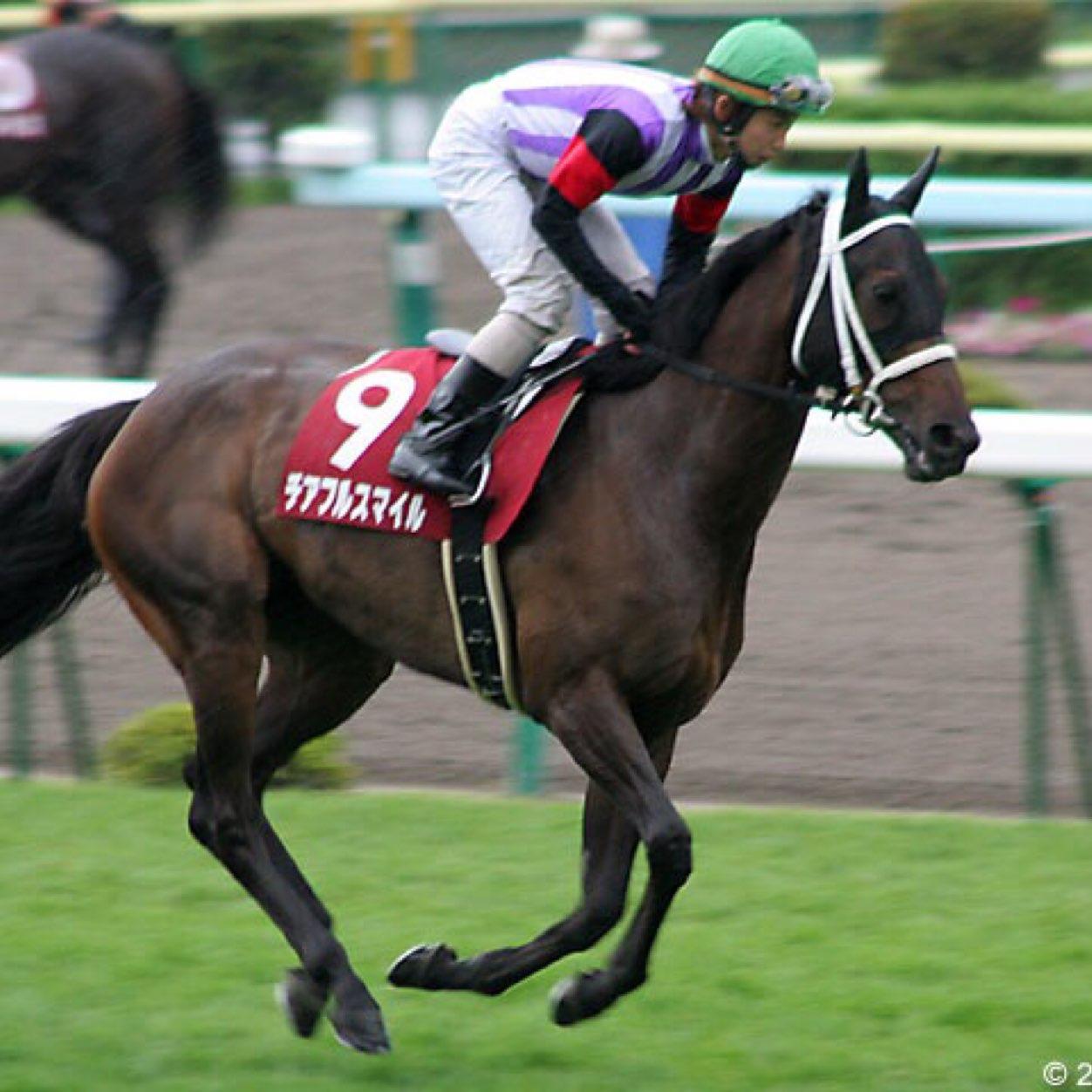 keiba0803's profile picture. 三度の飯よりとにかく競馬！な大学生です。予想被った！とかちょっと参考にして当たったって人是非反応してくれると嬉しいです！！ 中央競馬、高知競馬