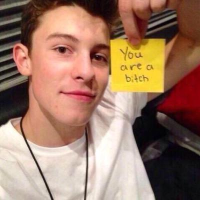sarcasm at its finest. shawn is my # 1 fan.