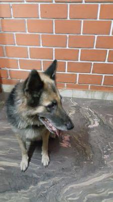 DerrickDcruz's profile picture. Being Happy doesn't mean that everything is perfect, It means looking beyond the imperfections