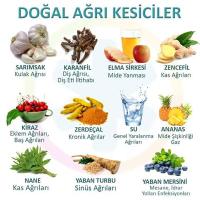 Ruknettin Topcu (@ruknettintopcu) Twitter profile photo