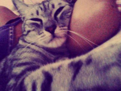 ⭐BvB army⭐
🐾Animals lover🐾 \\anime🎌manga//
||Other account:@daiaBiersack||