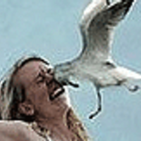 ownage (@ownage) 's Twitter Profile