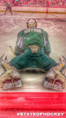 stateofhockey11's profile picture. let's go wild