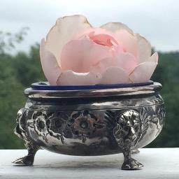 DebRGerhardt's profile picture. 