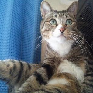 サオトメ( ◠‿◠ )のプロフィール写真