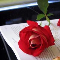 محمد الاصيل (@sgfgvbg34567) 's Twitter Profile
