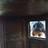 krushiparekh's profile image