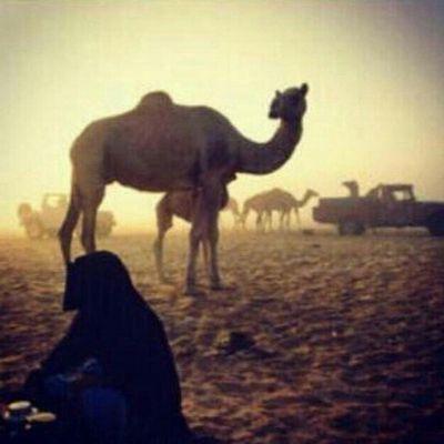 reem333446's profile picture. بدويه وبنت العز والفخر