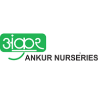 Ankur Nurseries(@AnkurNurseries) 's Twitter Profile Photo