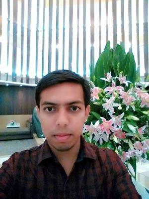 Senior Principal Cloud Consultant/Cloud Manager @Oracle | Dev-~/Tech aficionado/Science and Nature Lover. Perennially enthusiastic about Learning