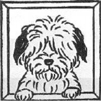 空犬(空犬太郎) (@sorainu1968) 's Twitter Profile Photo 空犬(空犬太郎) (@sorainu1968) 's Twitter Profile Photo