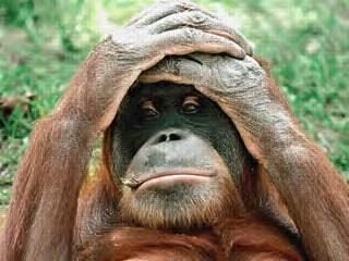 pidosh_sphiwe's profile picture. 