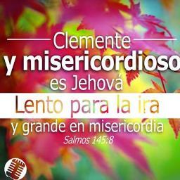 kara_kame's profile picture. 