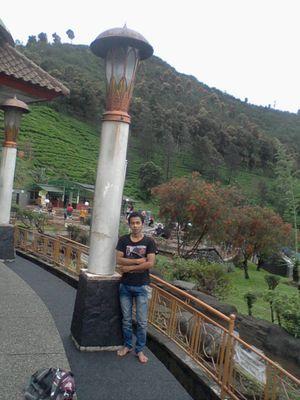 adityayana707's profile picture. 