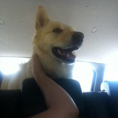 noticeer's profile picture. 