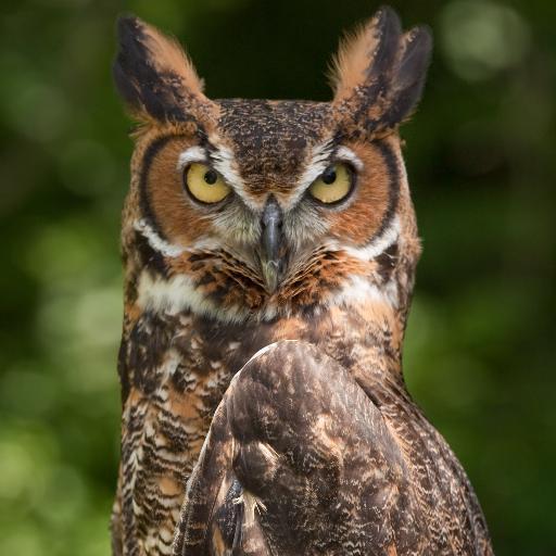 kayraotaner's profile picture. DevOps,  SecOps, Cloud & Storage architect, author, family guy (as in Peter Griffin)