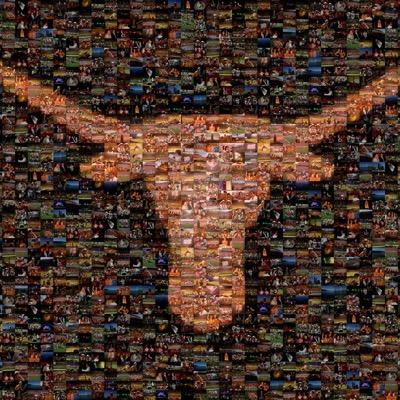 Accepted to University of Texas-Austin Class of 2020?! Follow this account to get connected! **NOT affiliated with the University