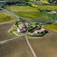 Canalicchio di Sopra (@canalicchiosopr) 's Twitter Profile