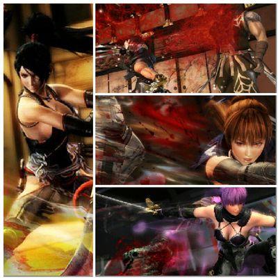 AVI: (NINJA- Hayabusa, NYOTEN-MARU- Momiji, JUUTAMI- Kasumi, ACOLYTE- Ayane) A group of hunters trained in a far land sworn to protect those who seek their help