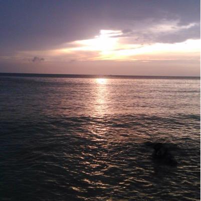 carlos_serrato's profile picture. 