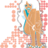 shopsugartoes's profile image