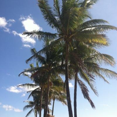 justme0229's profile picture. 