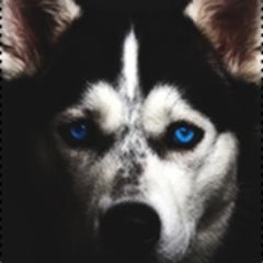 xotobibu's profile picture. 