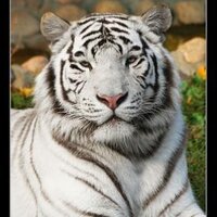 alexexp25 (@alexexp25) 's Twitter Profile