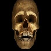 JasonV. (@nickmagick) 's Twitter Profile