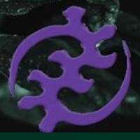 OneLife Institute (@onelife_inst) 's Twitter Profile