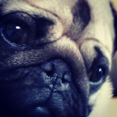 Milagro82352206's profile picture. ☺└（★ｏ★）┐⊂(◎(工)◎)⊃(͡° ͜ʖ ͡°)͡° ͜ʖ ͡°ಠ_ಠಥ⌣ಥ(¬_¬)ﾉ(●__●)(´･_･`)(#^.^#)(^_^;)(C_C)(◎_◎;)♡´･ᴗ･`♡(⌒_⌒;)（//･_･//)(*´∀`*)=∵=☺