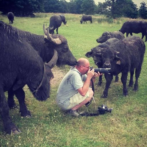 Dutch/Sony © 📷/Published/ Livestock/ documentary/ SWPA winner 2014/ SWPA commended 📷 2016/Down to earth/ 🇬🇧/Vasculitis(GPA)/English Bulldog/