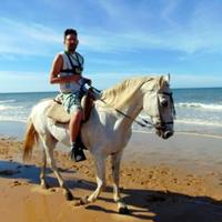 Marco (@marcoecrural) 's Twitter Profile