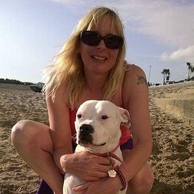 passionate about Staffordshire bull terriers and have a beautiful rescue staff. mum to the best kids Les Mills bodycombat instructor