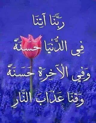 986de0f4f9b14c8's profile picture. 