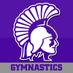WSU Gymnastics (@winonastategymn) Twitter profile photo WSU Gymnastics (@winonastategymn) Twitter profile photo