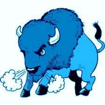 BuffaloDems's profile picture. 