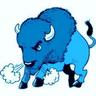 BuffaloDems's profile picture. 