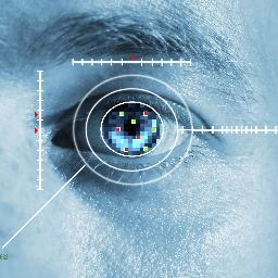 about Biometric identity management, fingerprint identification, video face or voice recognition, access control and related technological, legal, social issues