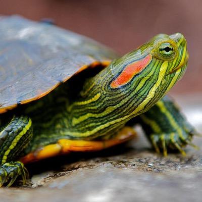 KMscoop's profile picture. Kindergarten at Pierce School!