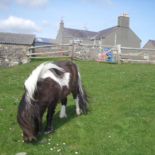 Rhydolion, Abersoch