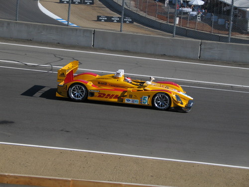 Netspeed's profile picture. 