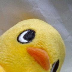 大好きな動物を微力ではありますが、助けるお手伝いをさせていただいております。