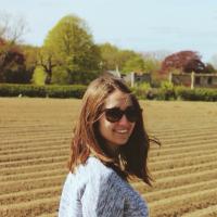 Teresa Ferreira (@teresaraquelf) 's Twitter Profile Photo Teresa Ferreira (@teresaraquelf) 's Twitter Profile Photo
