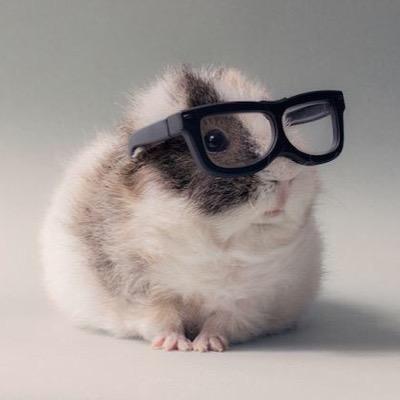 englearning123's profile picture. برجاء ارسال منشن بإسمك، واسم المادة حتى يتم قبول إضافتك